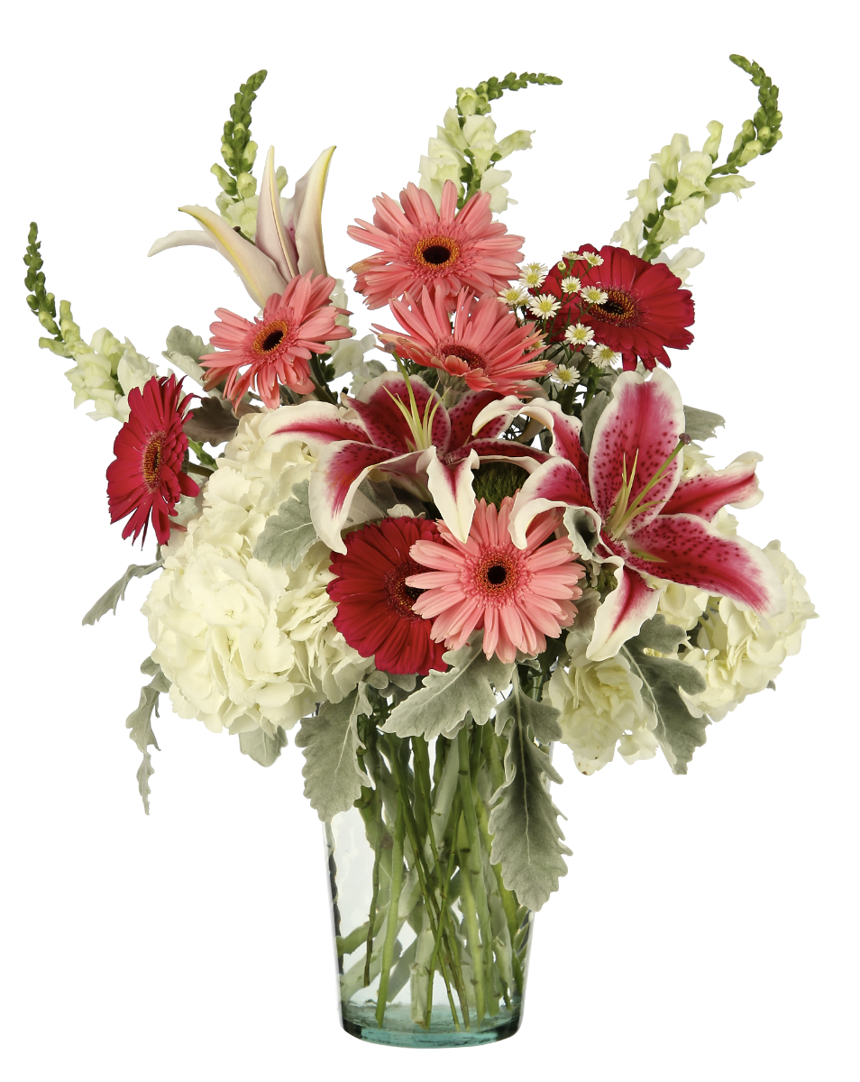 10.25 Conico Clear Glass Vases, 6-Case