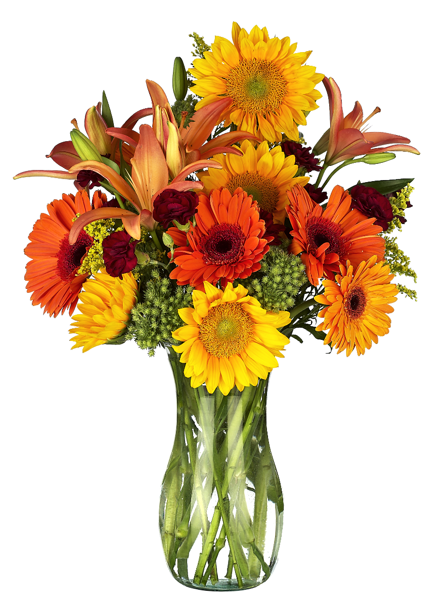 9.75 Clear Glass Vase, 12-Case