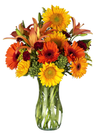 9.75 Clear Glass Vase, 12-Case