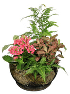 9.25 x 5.25 Clear Ovation Bowls, 6-Case
