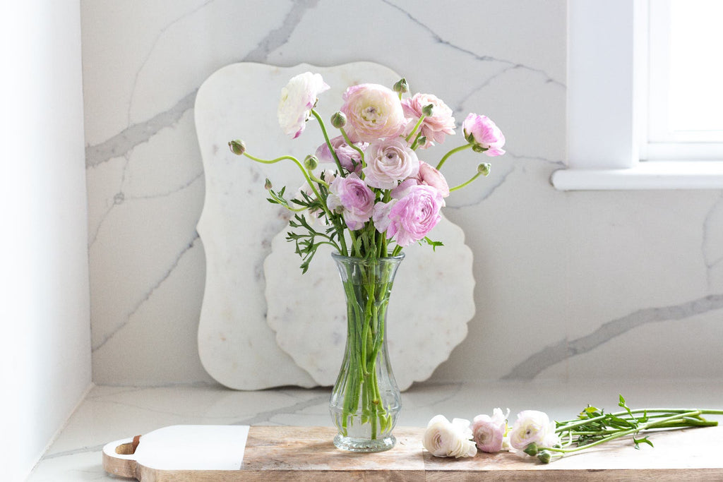9 Clear Bouquet Vases, 24-Case