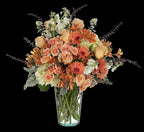 12 Conico Clear Glass Vases, 6-Case