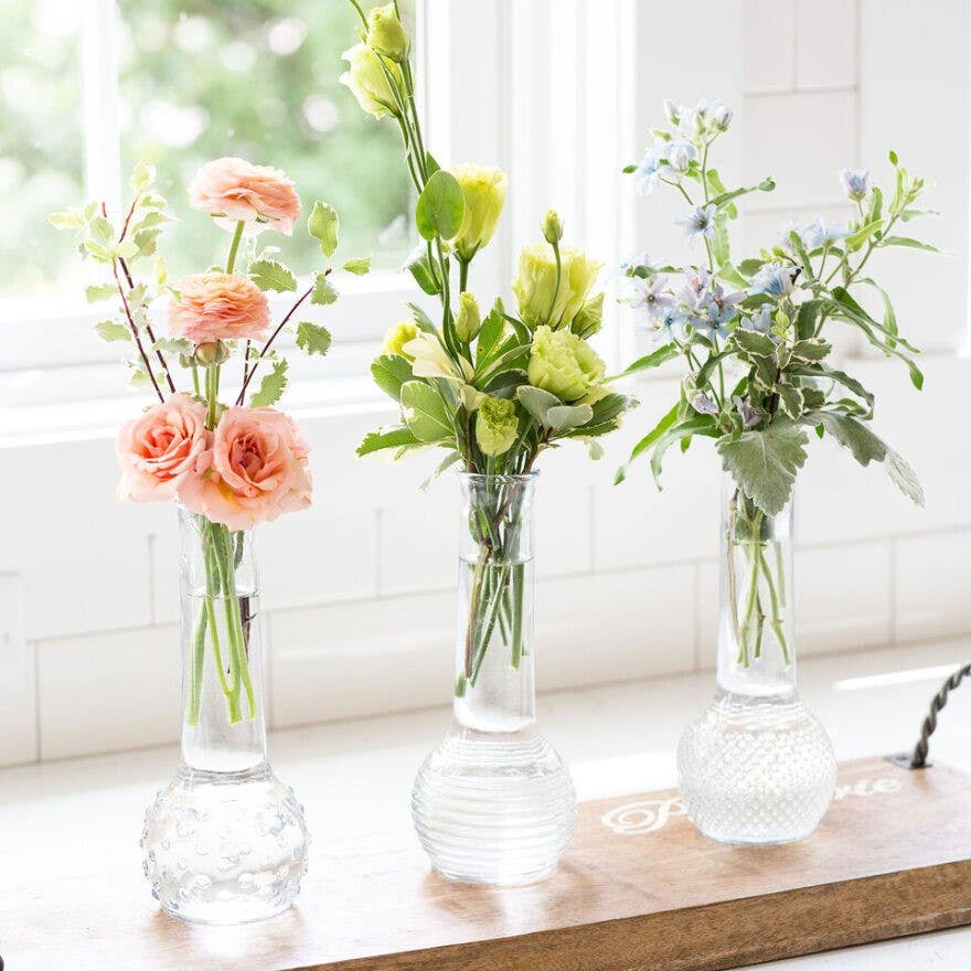 8.5 Dot Dash Bud Vases, 24-Case