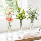 8.5 Dot Dash Bud Vases, 24-Case
