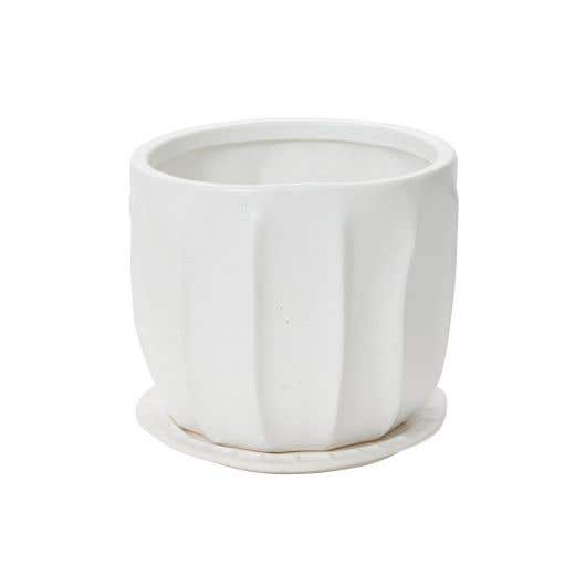7.5 x 6.25 White Draken Pot, 8-Case