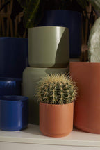 4.75x4.5 Kendall Terracotta Pots, 24