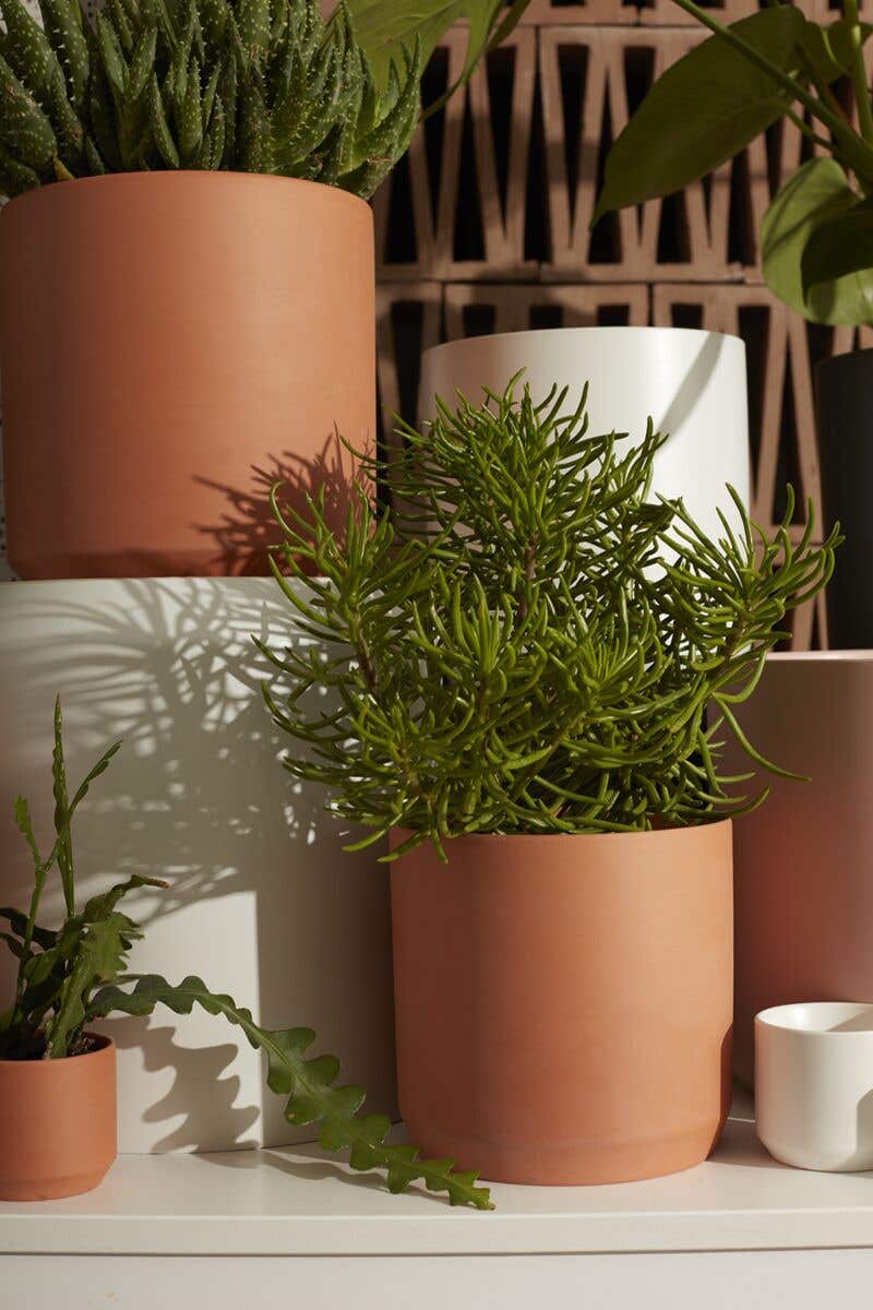 7 x 6.75 Kendall Terracotta Pot, 8-Case