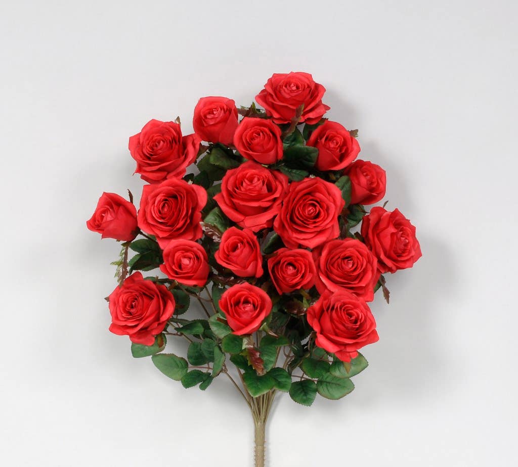 21.5 Red Grandiflora Rose Bush