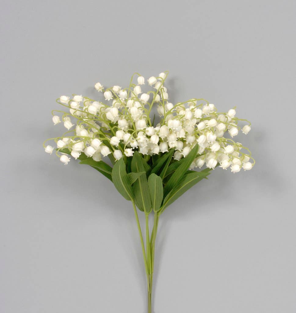 13.5 White Lily of the Valley