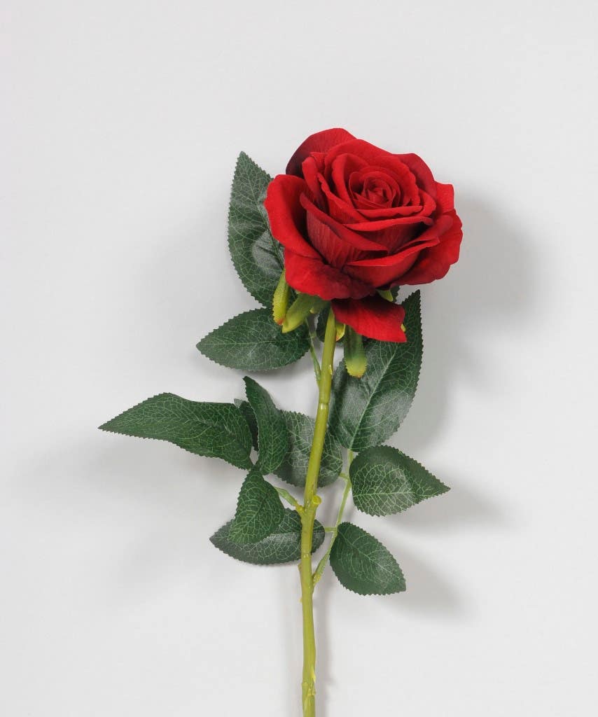 30 Red Velvet Rose with 4 Head