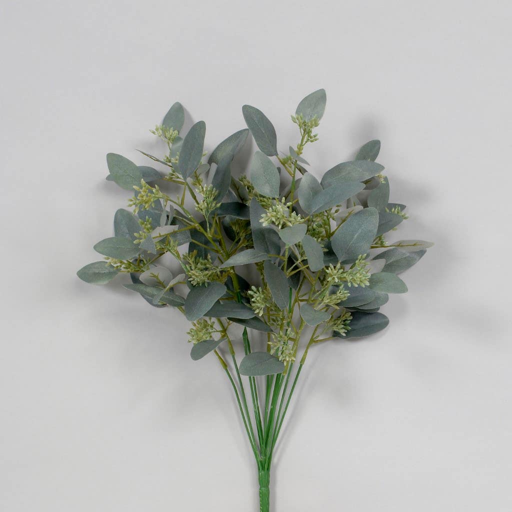 19 Gray Seeded Eucalyptus Bush, 12