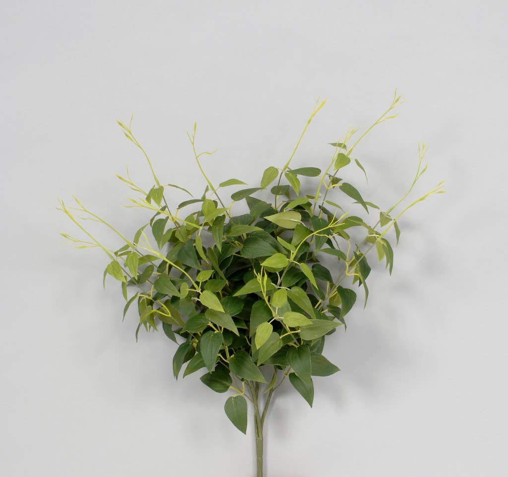 22 Green Smilax Leaves Bush