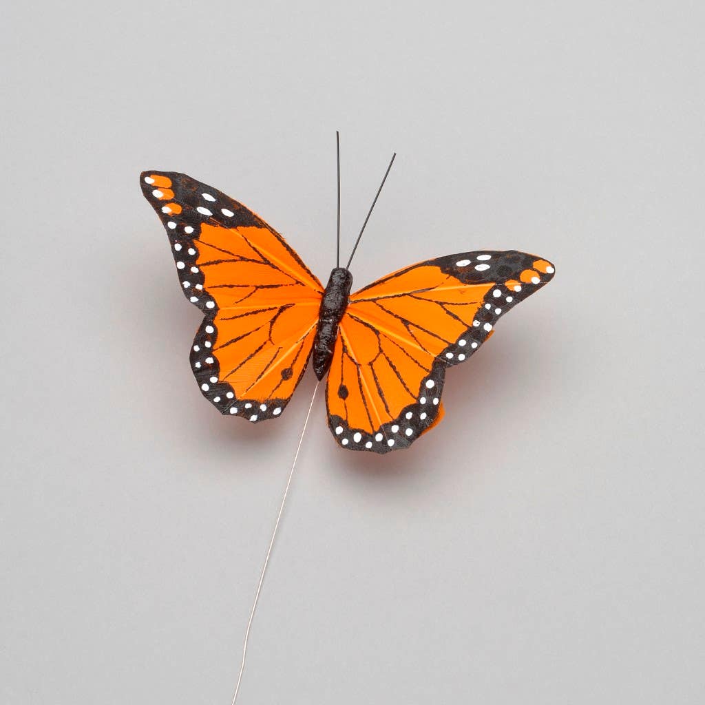 4x2.25 Feather Butterfly Wire, 12-Box