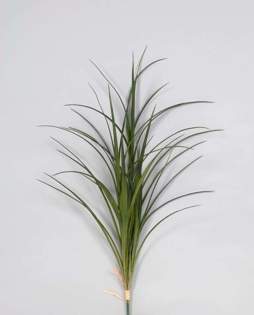 36 Dark Green Grass, 3