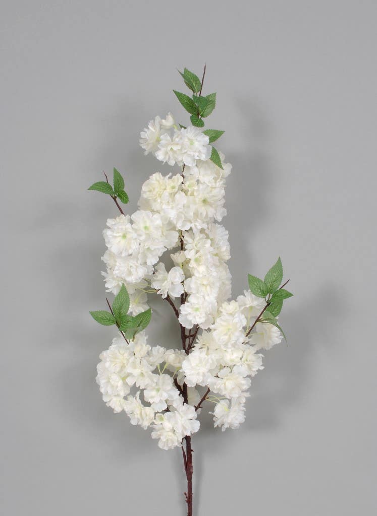 48 White Cherry Blossom Branch