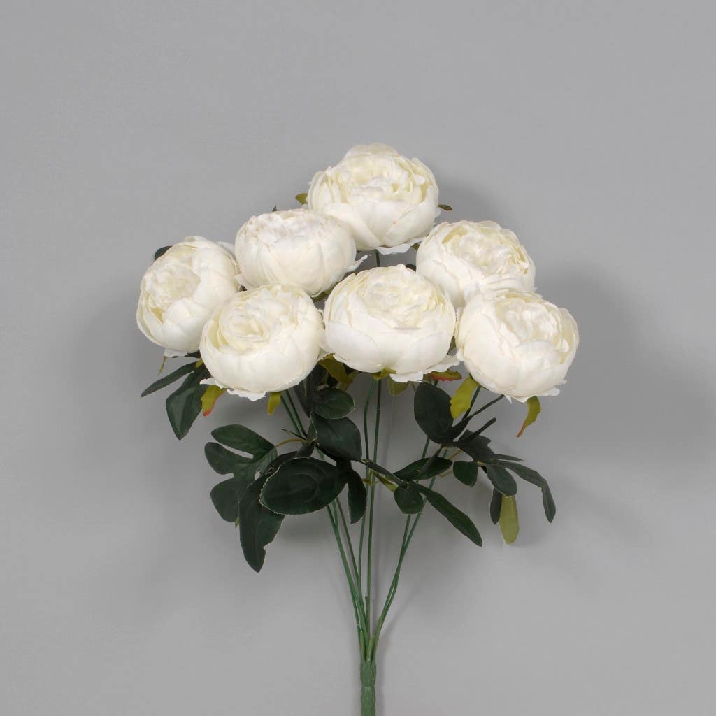 19 Cream Peony Bush with 7 Leaves
