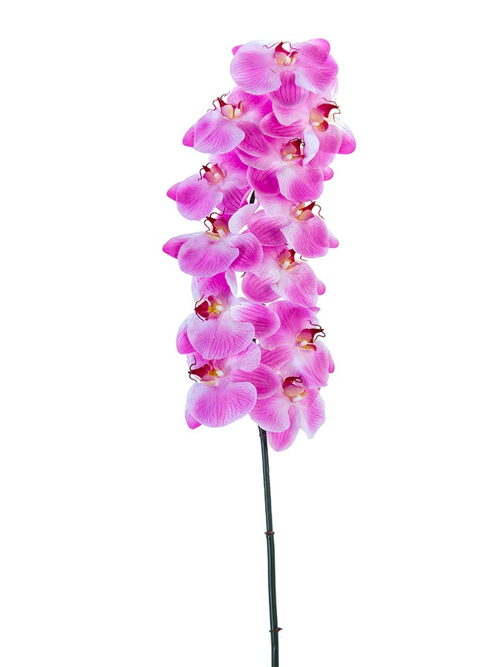 42 Pink Real Touch Phalaenopsis Orchid