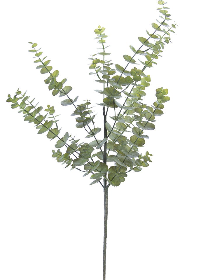 44 Green Eucalyptus Spray