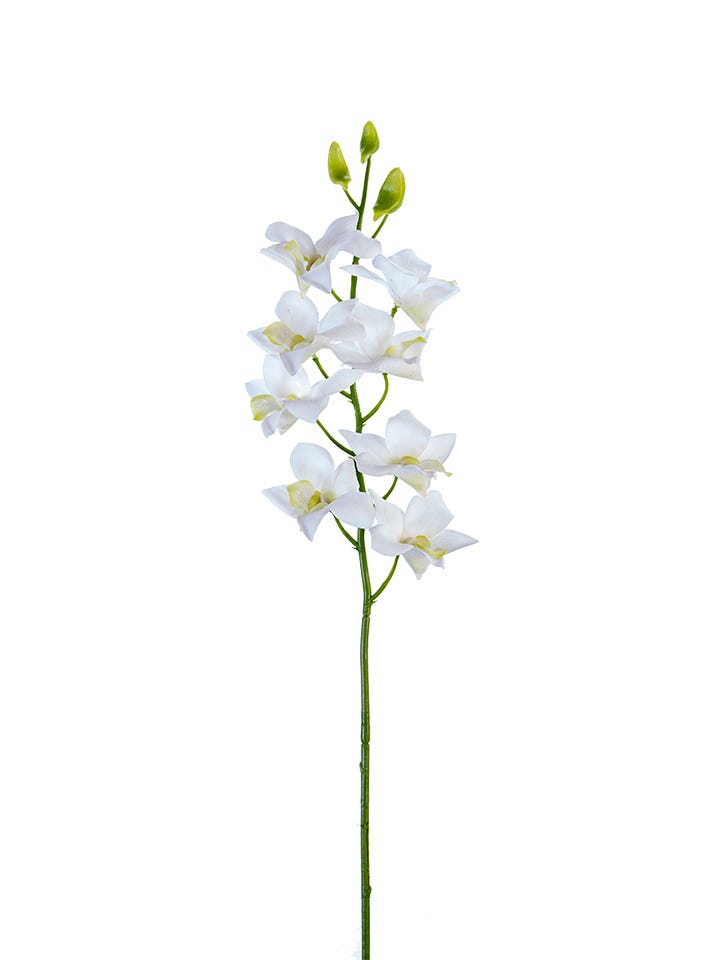 27 White Real Touch Dembrodium Orchid