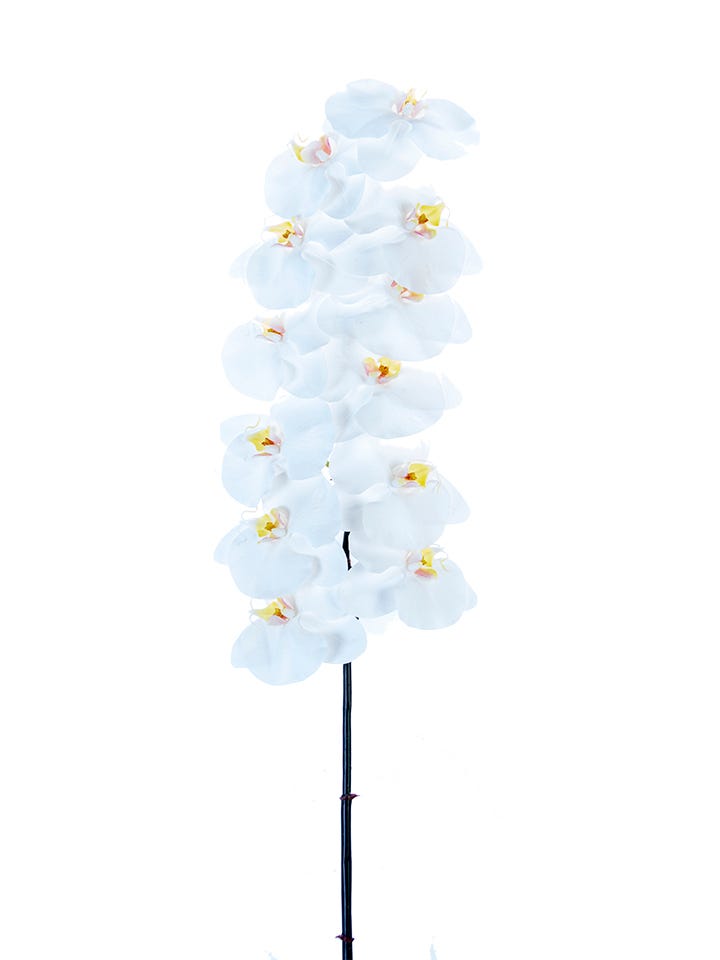42 Real Touch Phalaenopsis Orchid