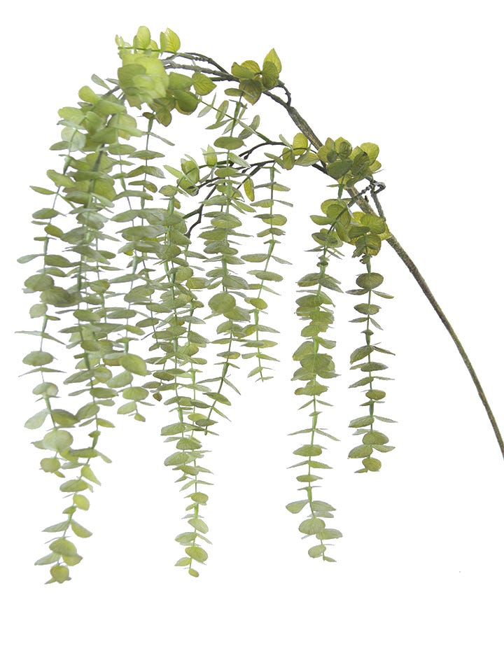 48 Green Hanging Eucalyptus Spray