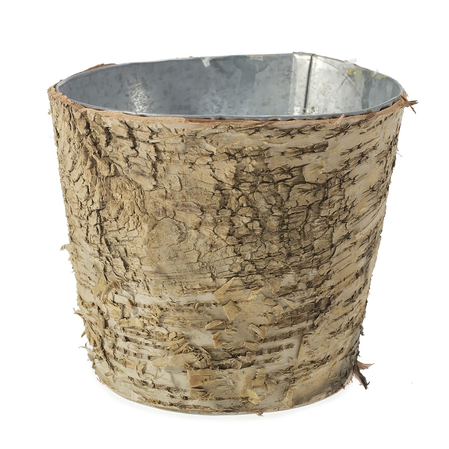 5.5 x 5 Birch Natural Wood Pot