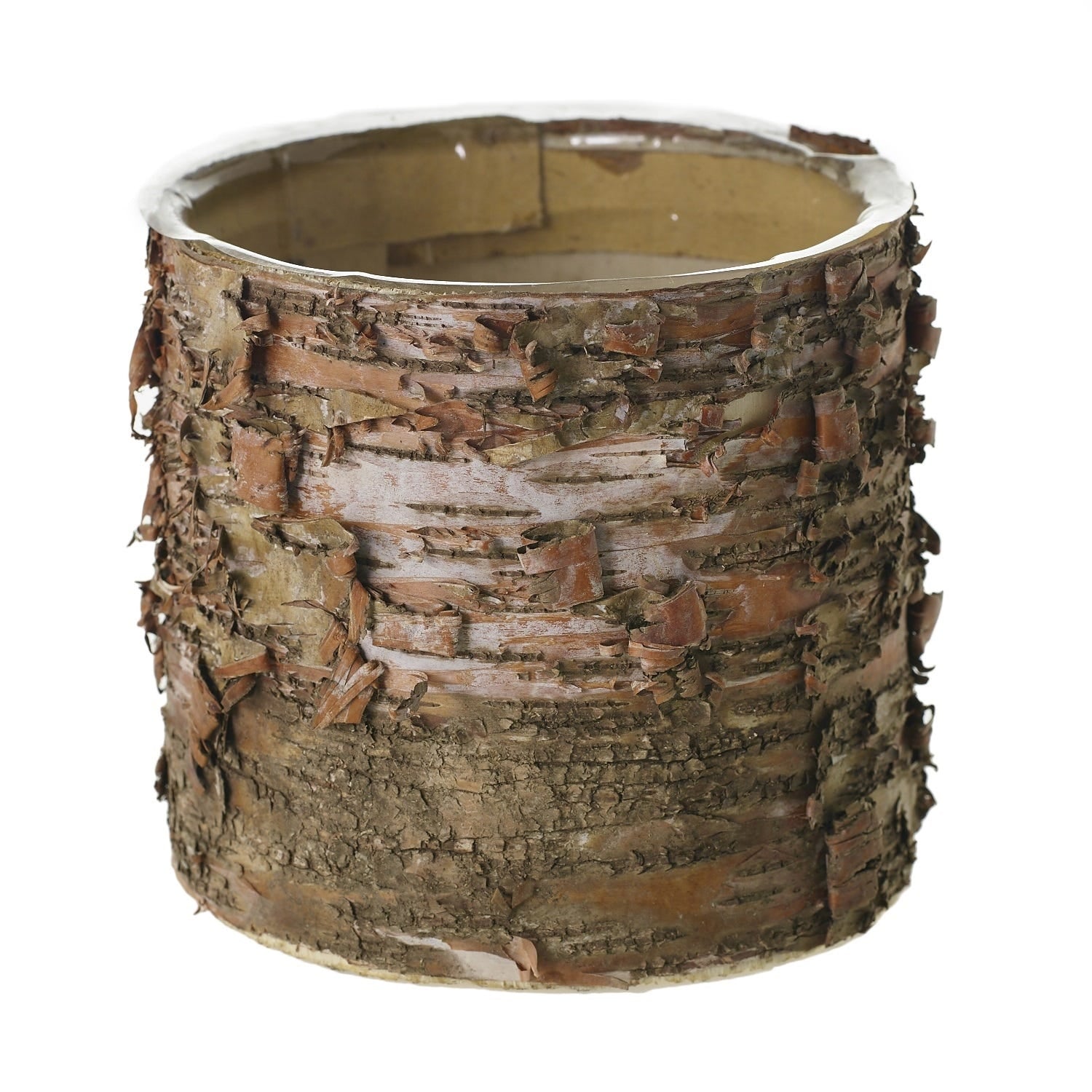 6 x 5.5 Birch Natural Wood Cylinder