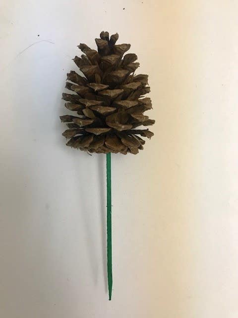 Natural Ponderosa Pinecones, 50-Case