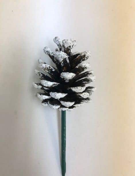 Sparkle Austrica Pinecones, 100-Case