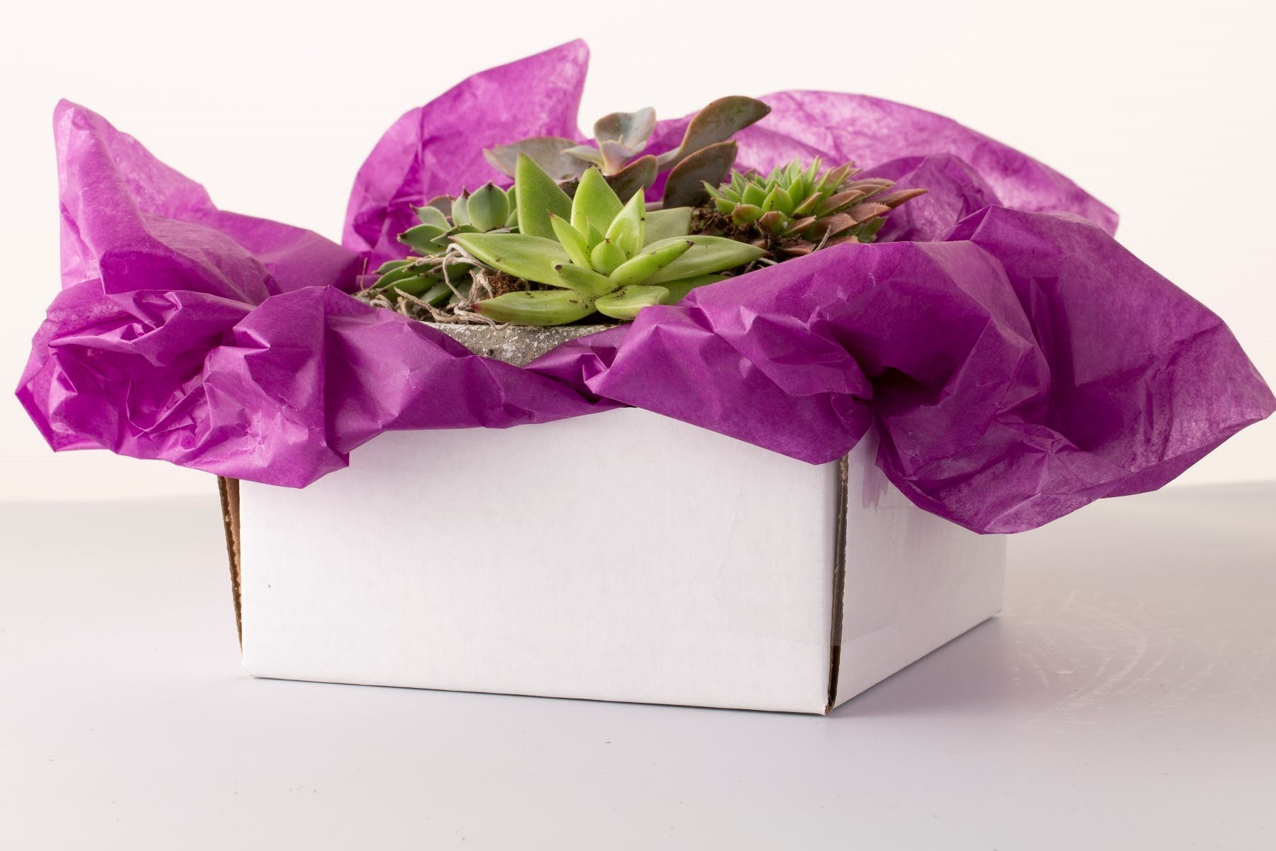 6 x 3 White Delivery Boxes, 100-Case