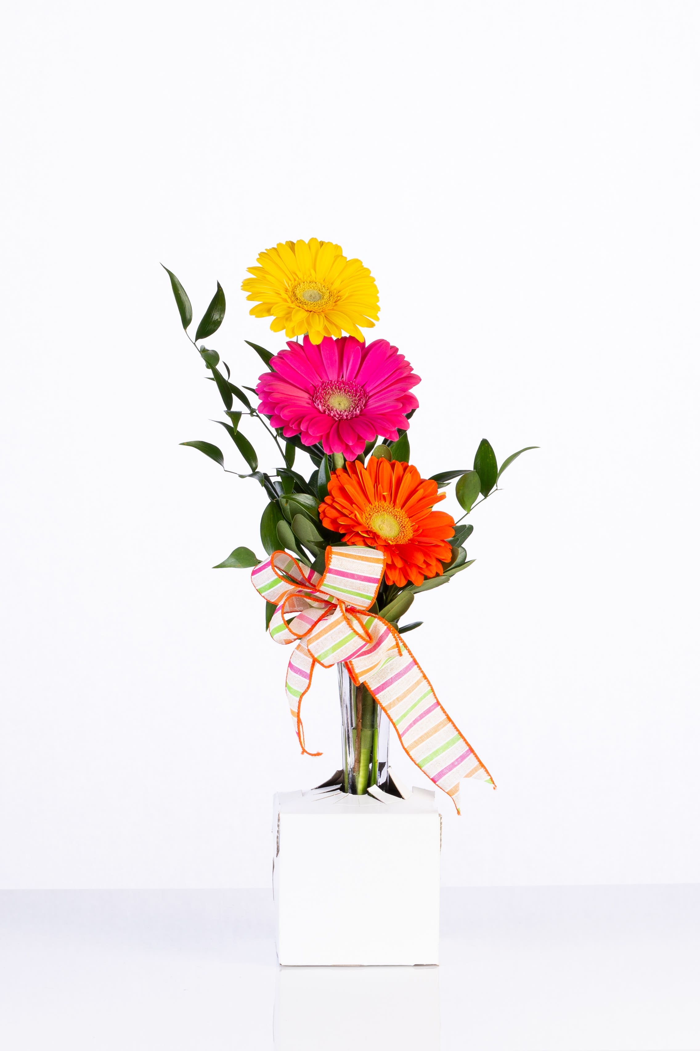 8 x 8 x 5 Automatic Vase Holders, 100
