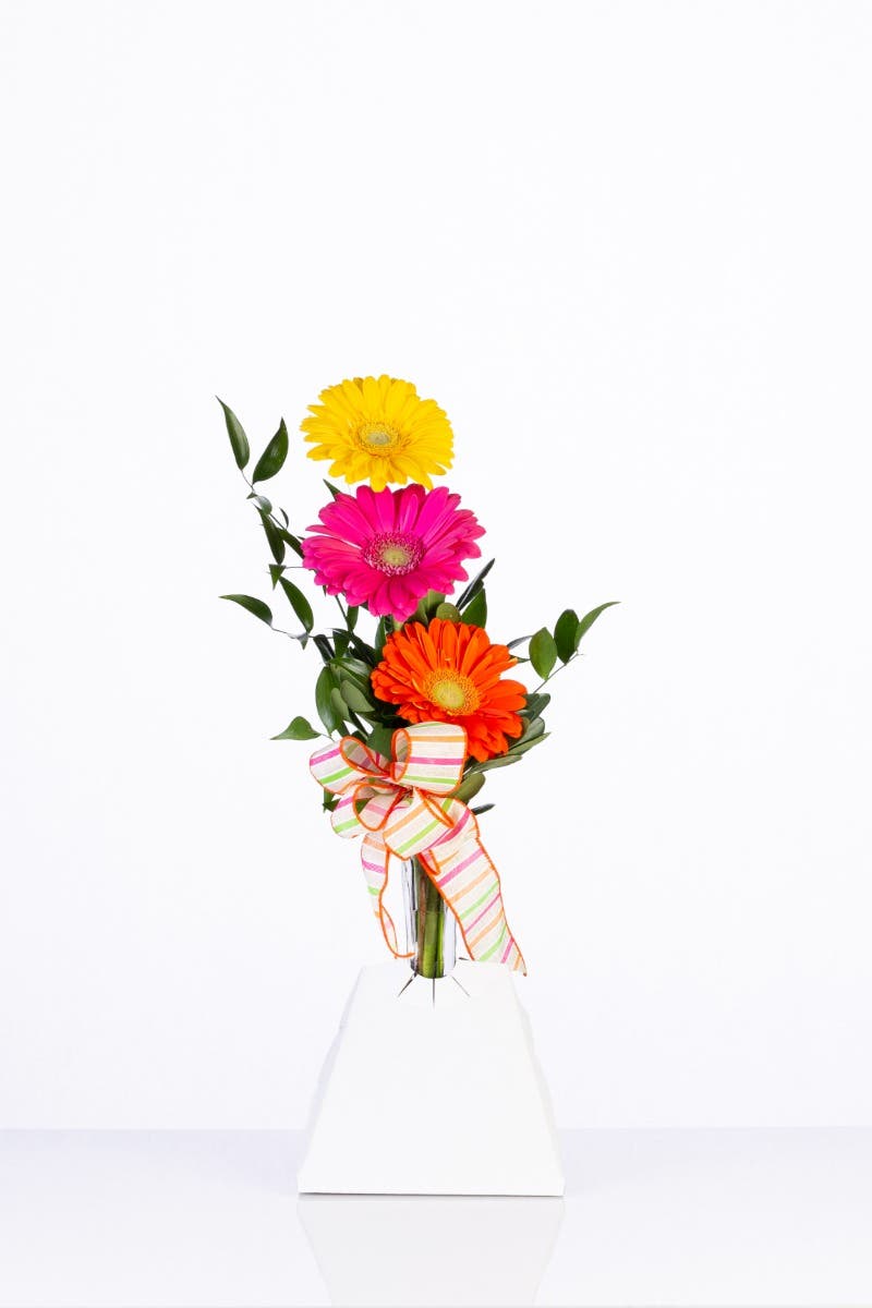 15x26x8 Pyramid Vase Holders, 100-Case