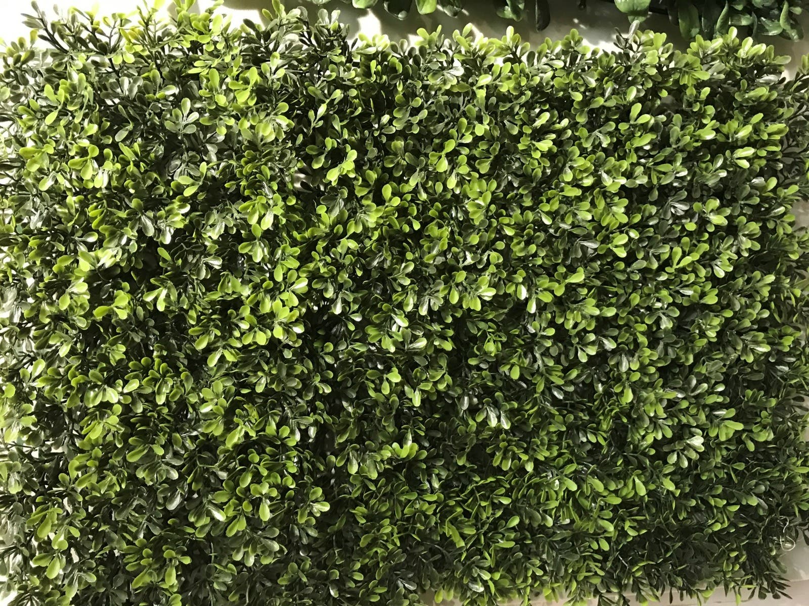 24 x 24 Boxwood Mat