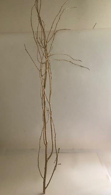 72 Gold Birch Branches, 12-Bunch