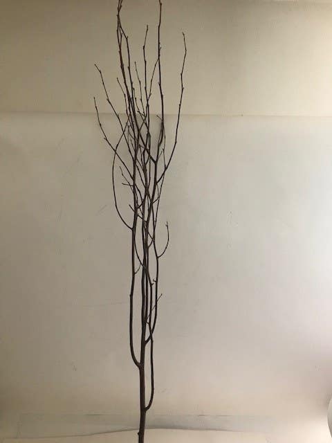 72 Natural Birch Branches, 12-Bunch