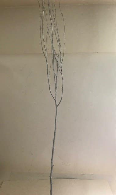 72 Silver Birch Branches, 12-Bunch