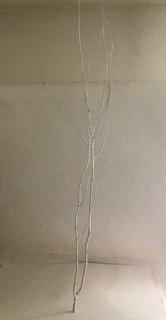 72 White Birch Branches, 12-Bunch