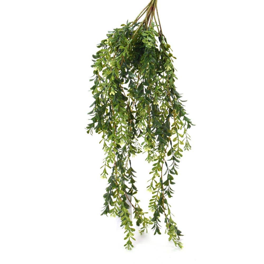 24 Green Boxwood Vine Mix, 147-Pack