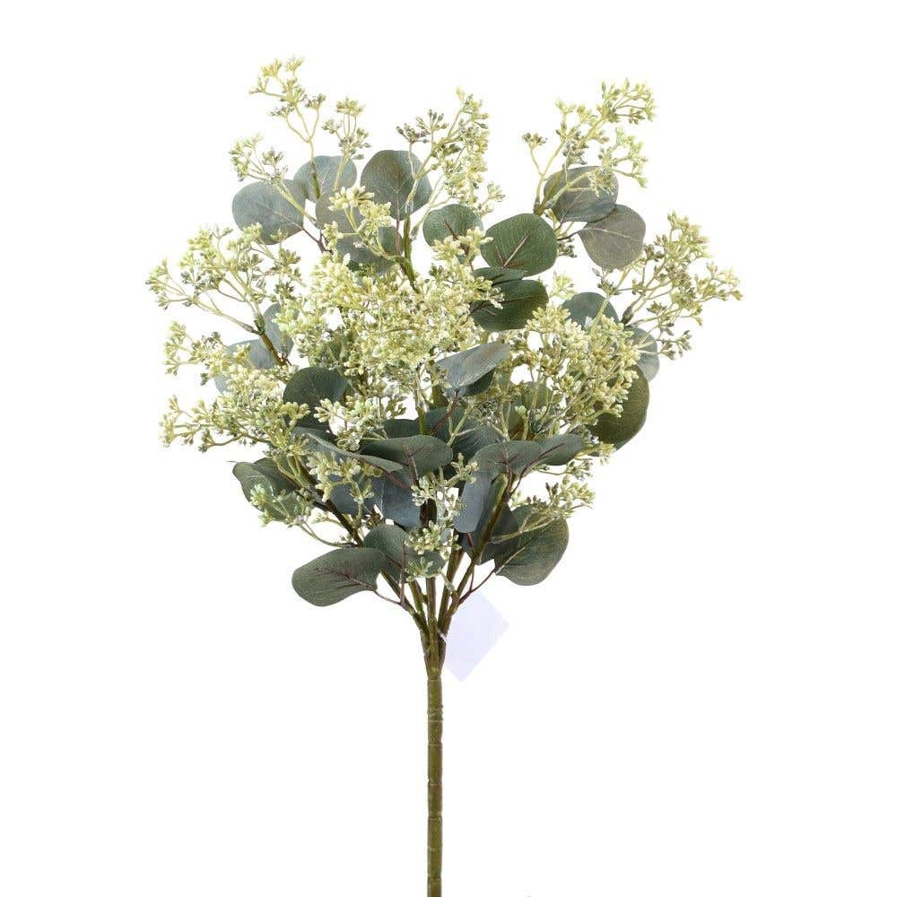 24 Green Eucalyptus Berry Bush