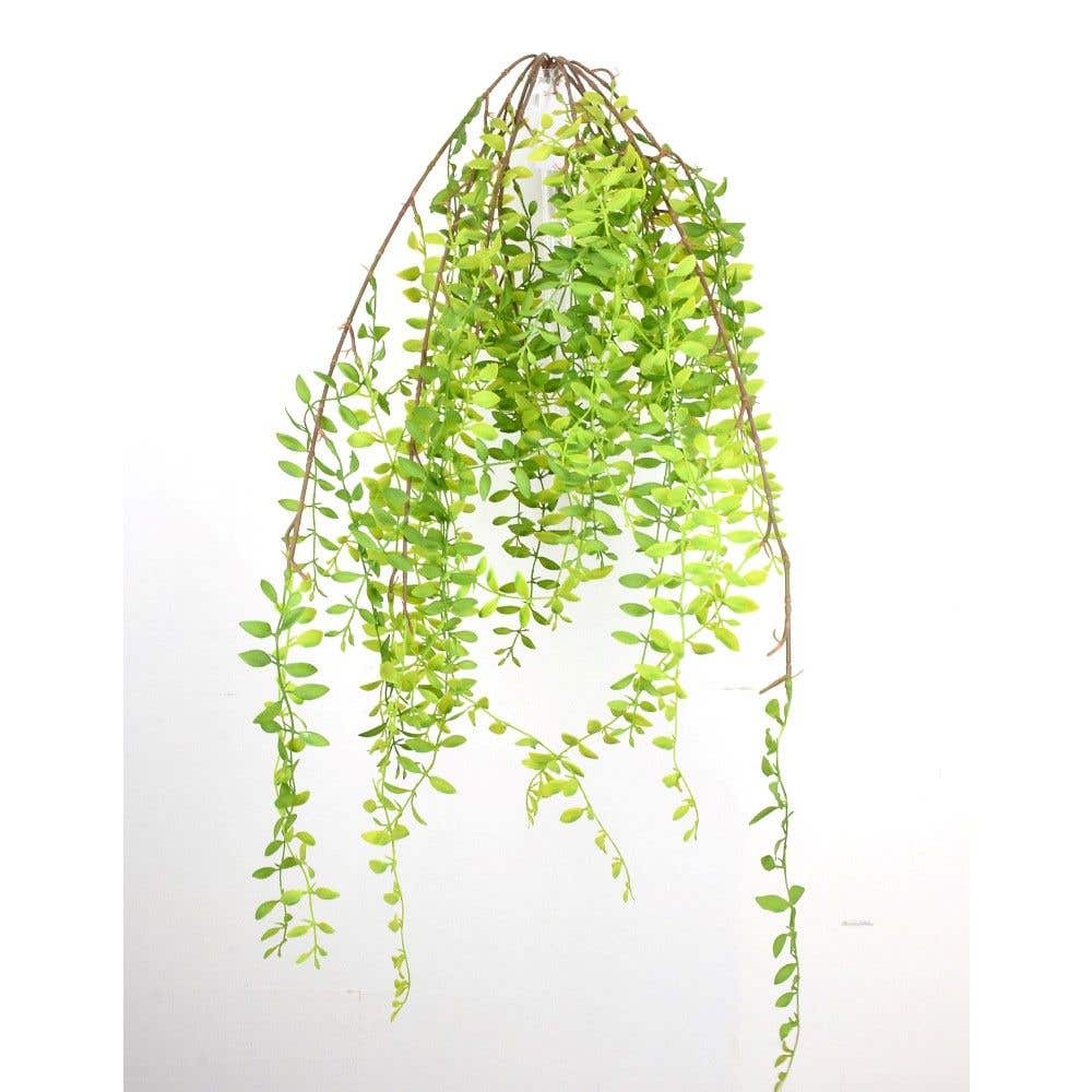 36 Green Hanging Fern Bush