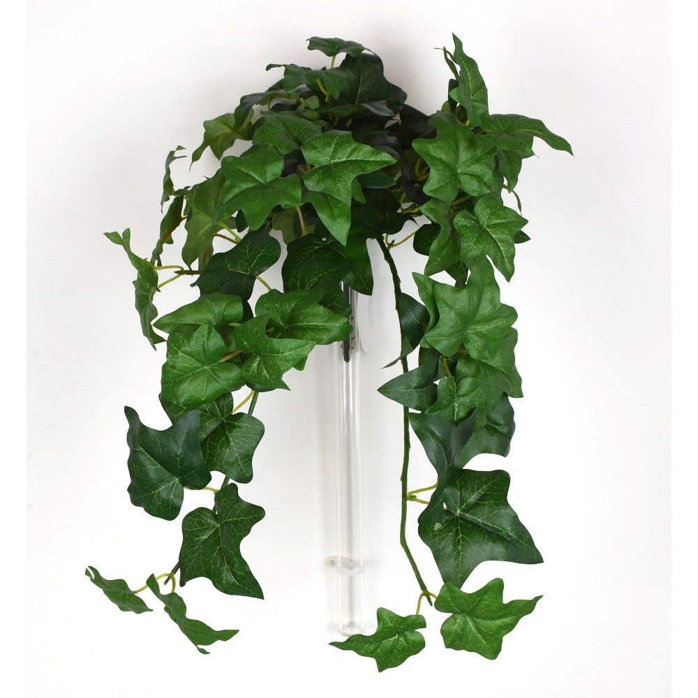 20 Green Ivy Hanging Bush