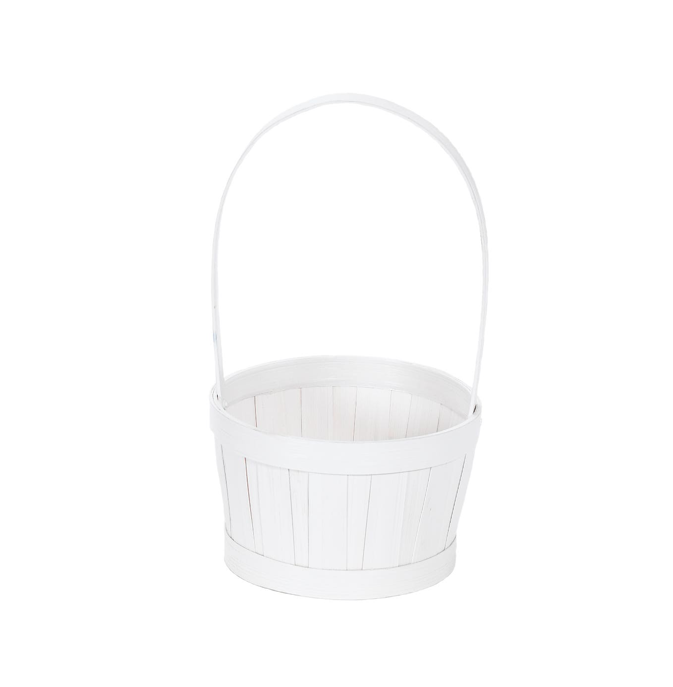 6 White Wash Fern and Grass Planter