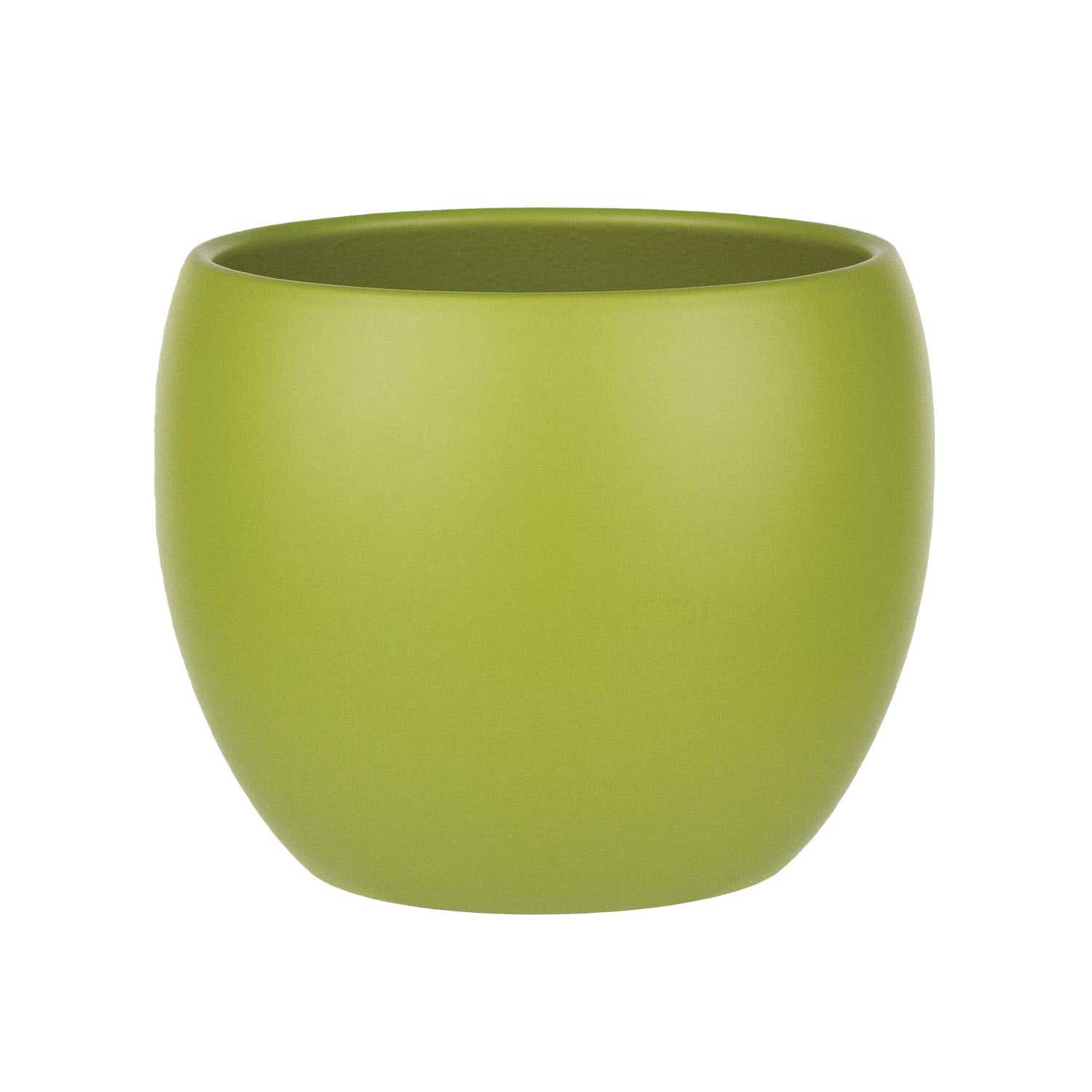 6 Bamboo Green Phoenix Planters, 6-Case