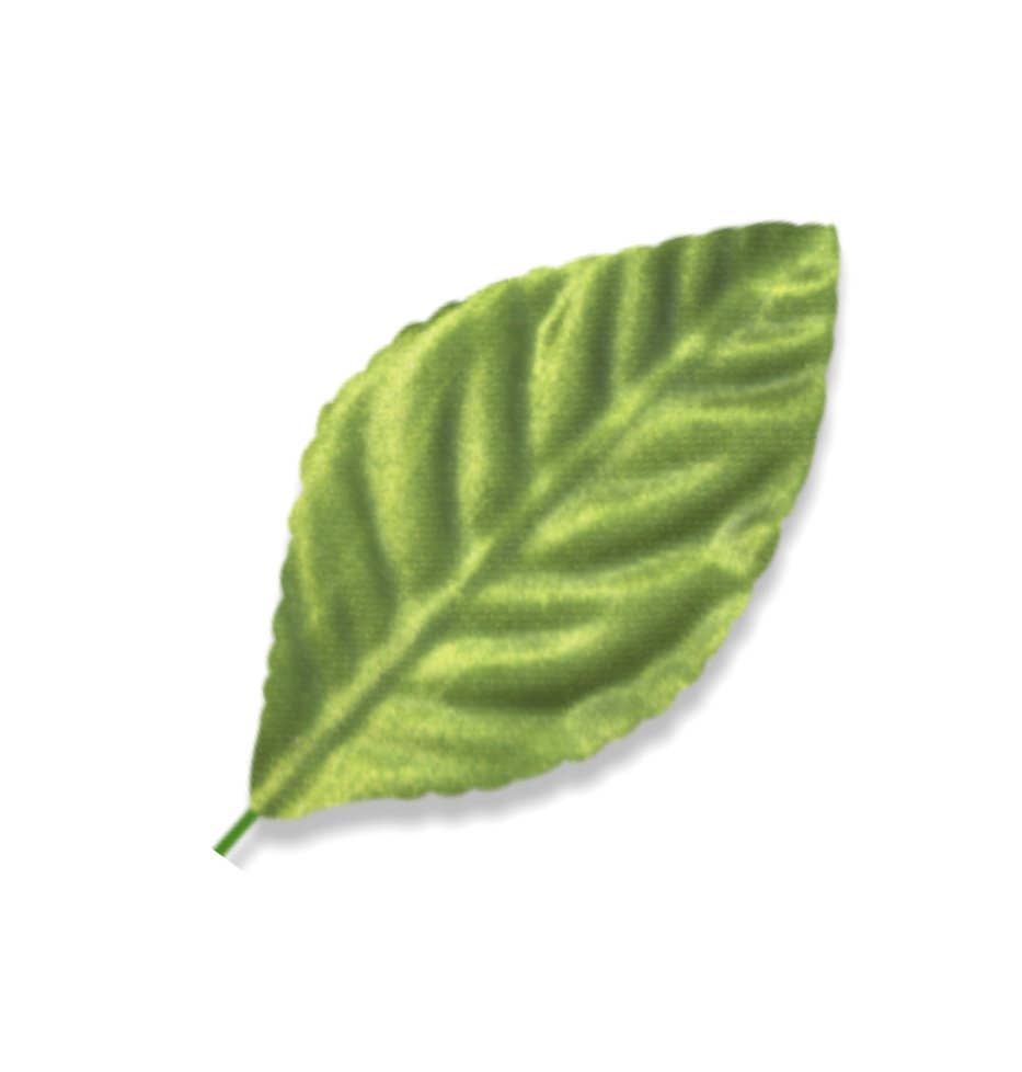 2.25Moss Green Corsage Leaves, 100-Pack