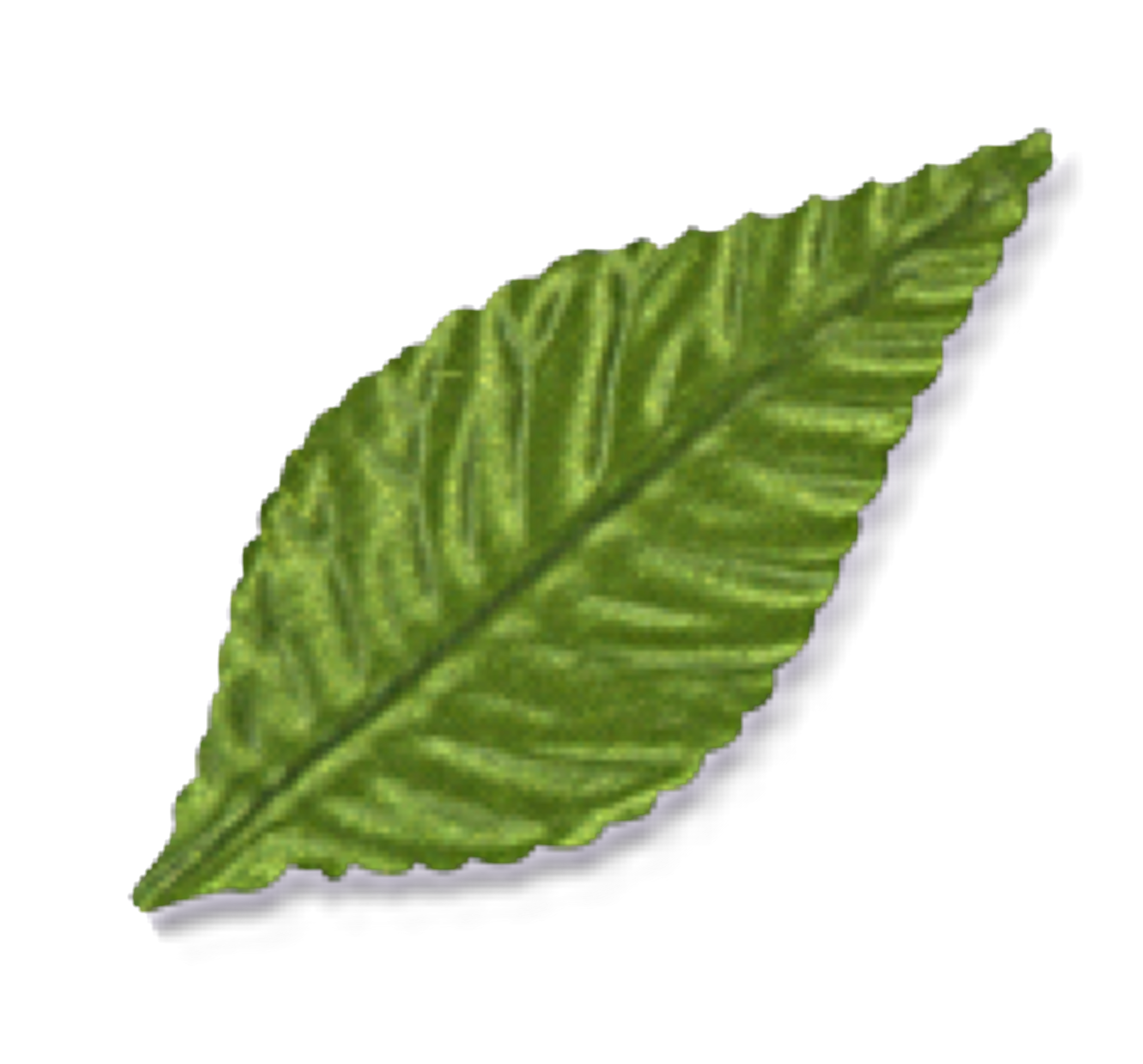 3 Large Green Corsage Leaves, 100-Pack