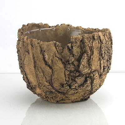 9 x 6.5 Fossil Ceramic Bowl