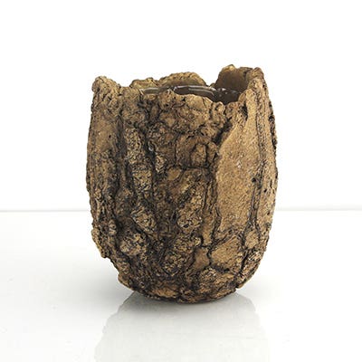 6 Fossil Ceramic Planter