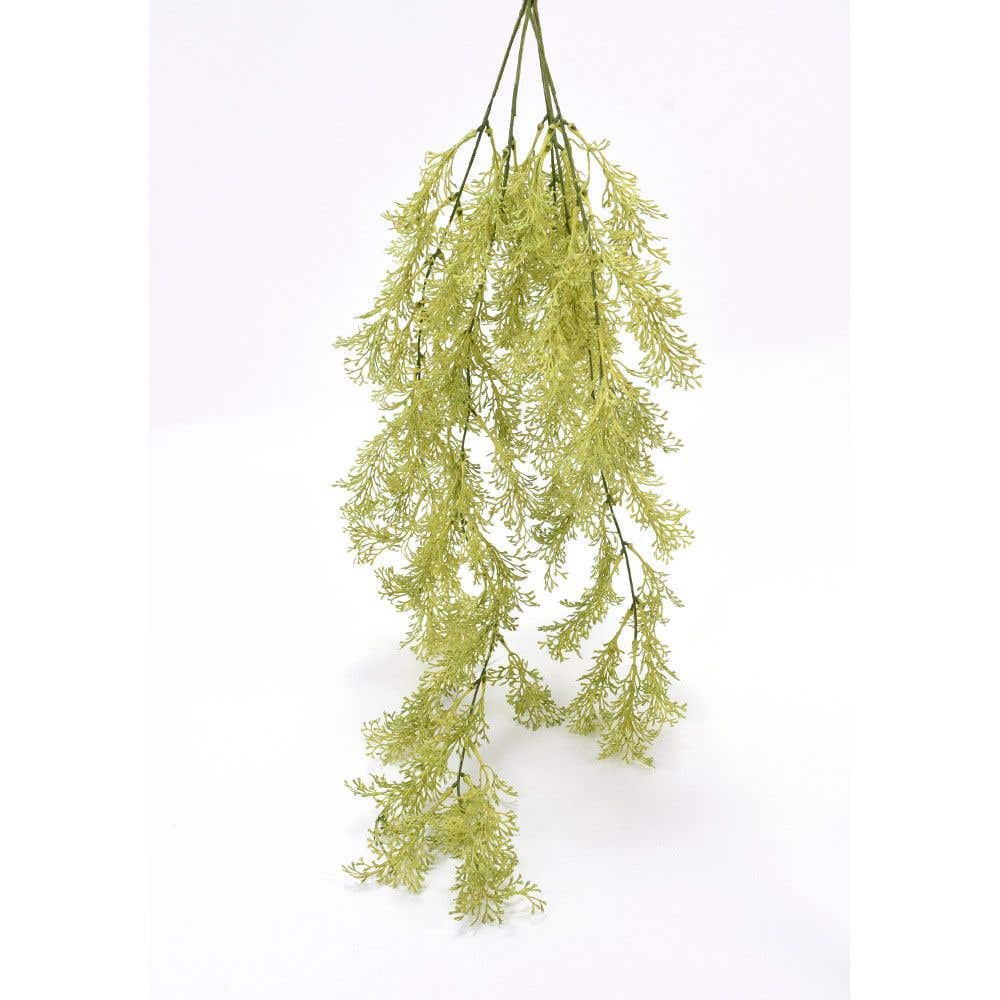 33 Light Green Hanging Fern