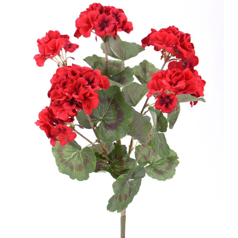 18 Red Geranium Bush, 7-Pack