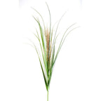 54 Green/Natural Seagrass Stem